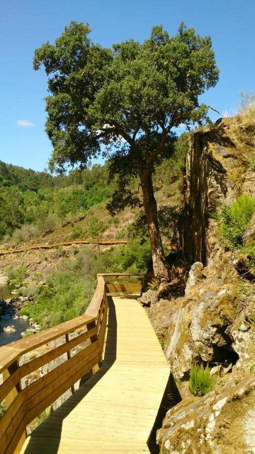 Quinta Do Moinho Holiday home