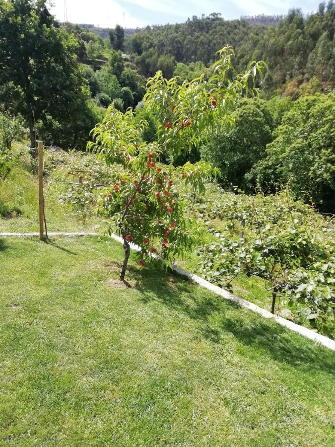 Quinta Do Moinho *